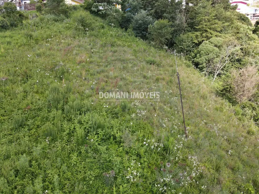 Foto 8 de Terreno / Lote à venda, 1350m2 em Campos Do Jordao - SP