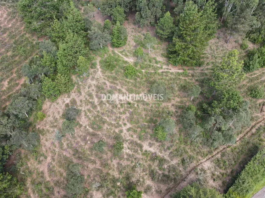 Foto 7 de Terreno / Lote à venda, 1480m2 em Campos Do Jordao - SP