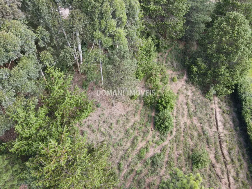 Terreno / Lote à venda, 1500m2 em Campos Do Jordao - SP - imagem 8 Foto 8 de Terreno / Lote à venda, 1500m2 em Campos Do Jordao - SP