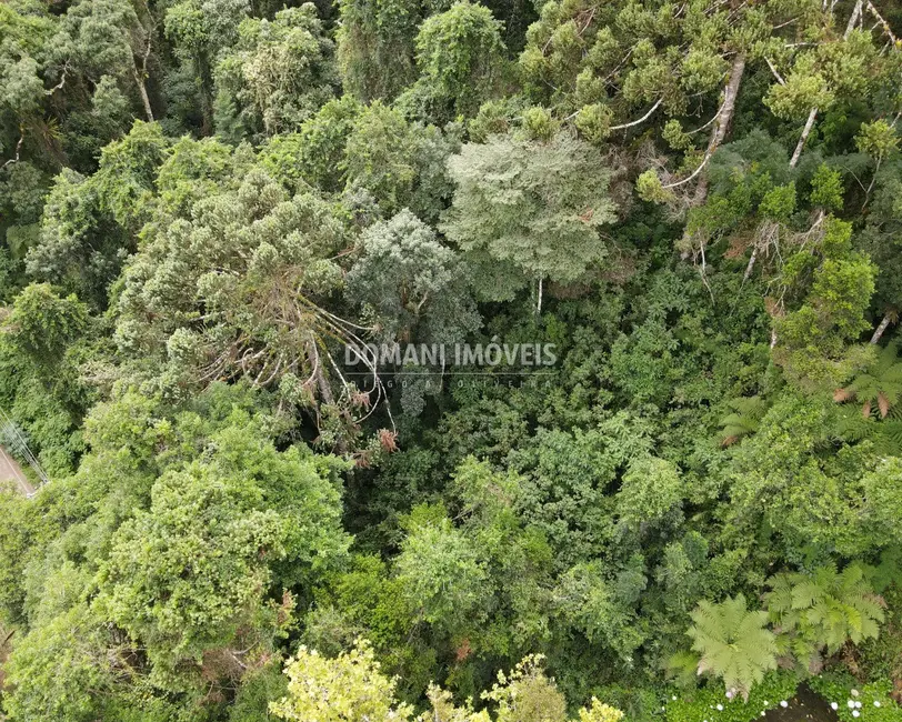 Terreno / Lote à venda, 1010m2 em Campos Do Jordao - SP - imagem 7 Foto 7 de Terreno / Lote à venda, 1010m2 em Campos Do Jordao - SP