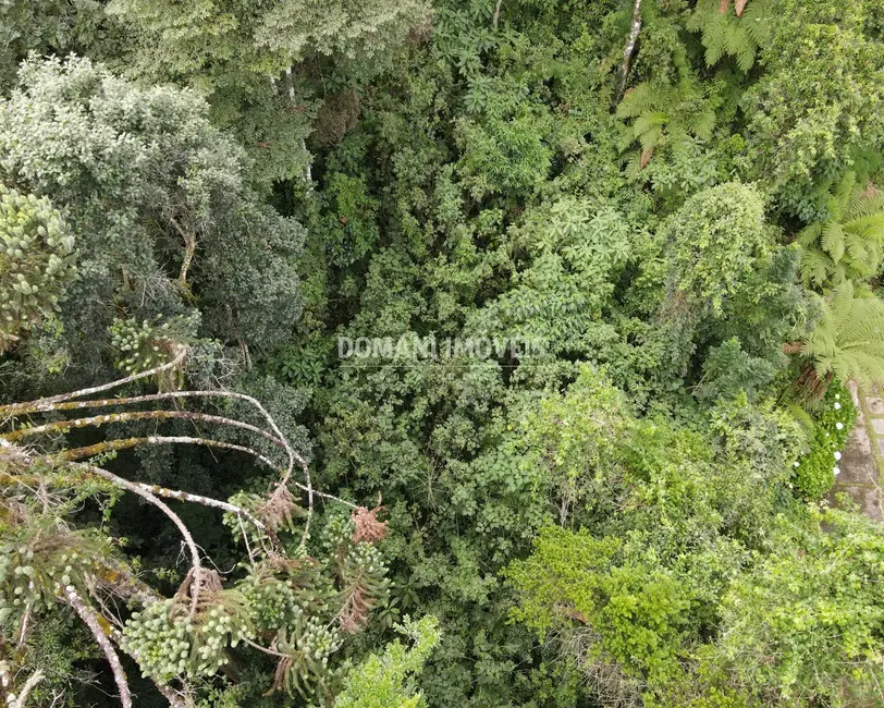 Terreno / Lote à venda, 1010m2 em Campos Do Jordao - SP - imagem 9 Foto 9 de Terreno / Lote à venda, 1010m2 em Campos Do Jordao - SP