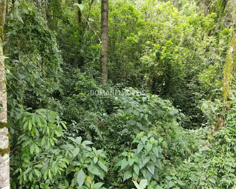 Foto 2 de Terreno / Lote à venda, 1010m2 em Campos Do Jordao - SP