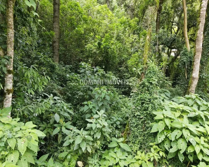 Terreno / Lote à venda, 1010m2 em Campos Do Jordao - SP - imagem 6 Foto 6 de Terreno / Lote à venda, 1010m2 em Campos Do Jordao - SP