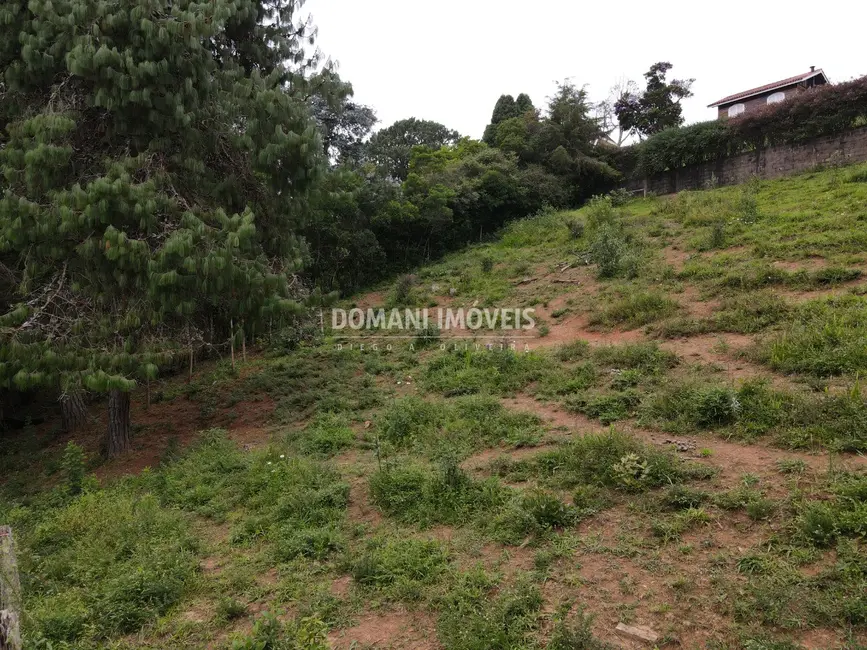 Foto 5 de Terreno / Lote à venda, 1050m2 em Campos Do Jordao - SP