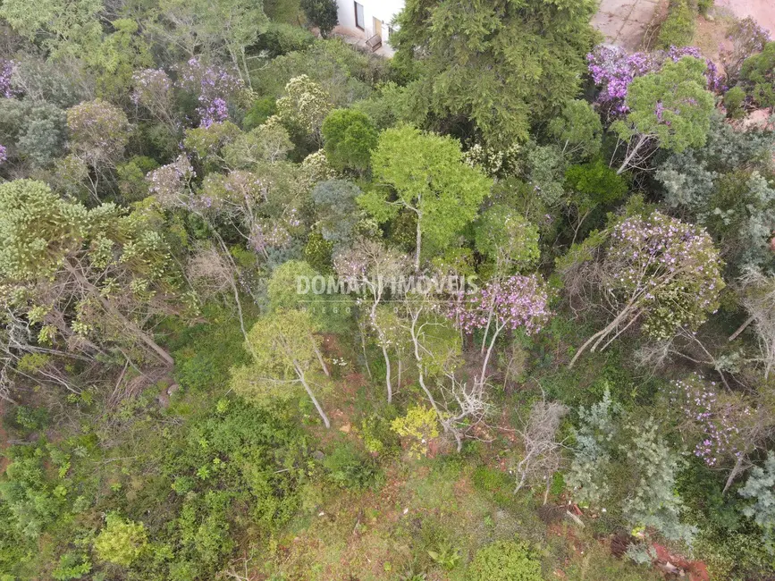 Foto 5 de Terreno / Lote à venda, 1550m2 em Campos Do Jordao - SP