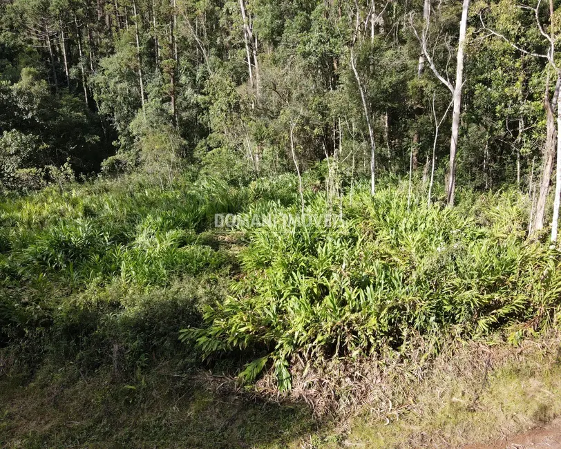 Foto 8 de Terreno / Lote à venda, 130000m2 em Campos Do Jordao - SP