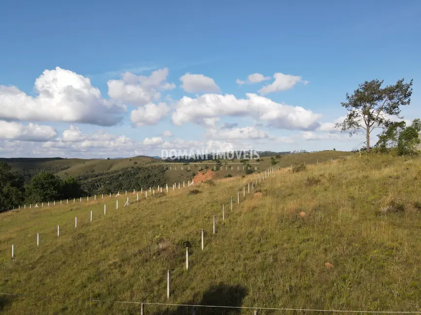 Foto 7 de Terreno / Lote à venda, 1160m2 em Campos Do Jordao - SP