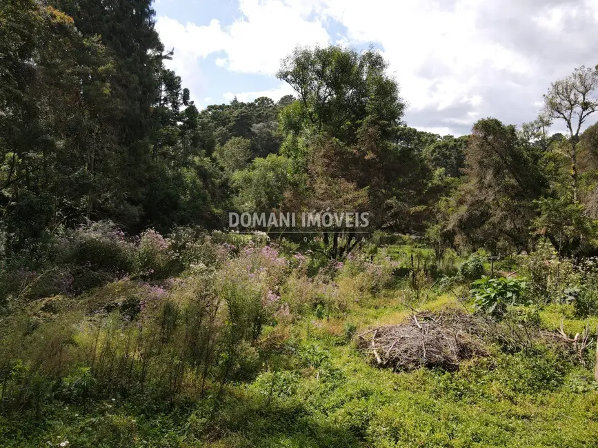 Foto 6 de Terreno / Lote à venda, 1250m2 em Campos Do Jordao - SP