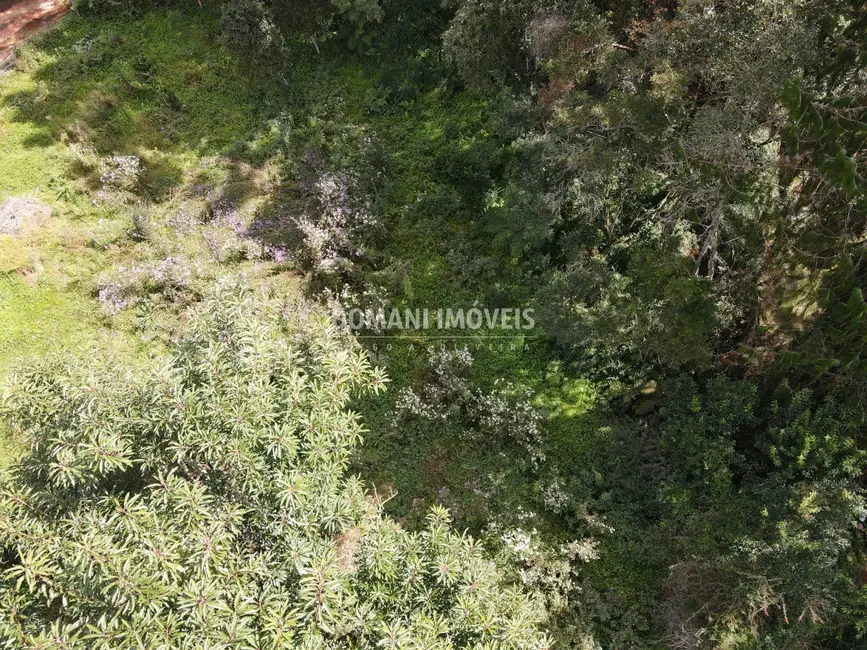 Foto 5 de Terreno / Lote à venda, 1250m2 em Campos Do Jordao - SP