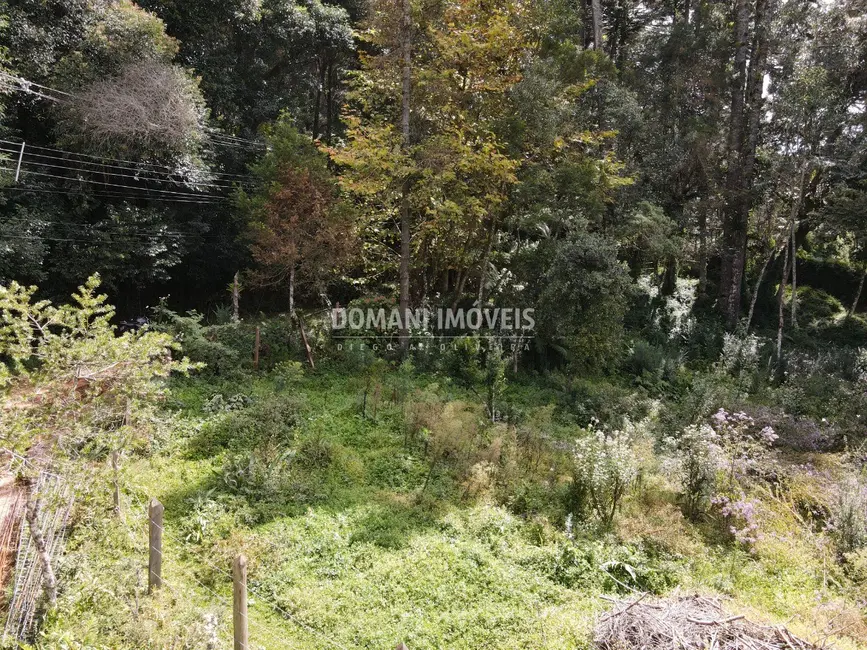 Foto 3 de Terreno / Lote à venda, 1250m2 em Campos Do Jordao - SP