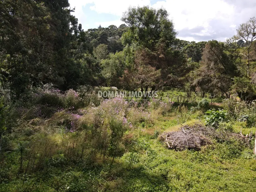 Foto 4 de Terreno / Lote à venda, 1250m2 em Campos Do Jordao - SP