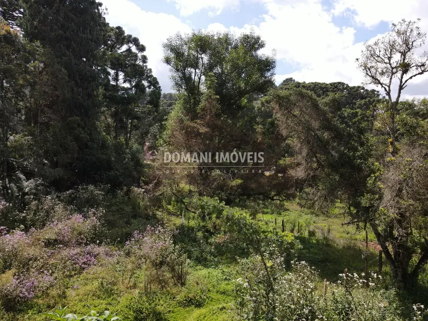 Foto 7 de Terreno / Lote à venda, 1250m2 em Campos Do Jordao - SP