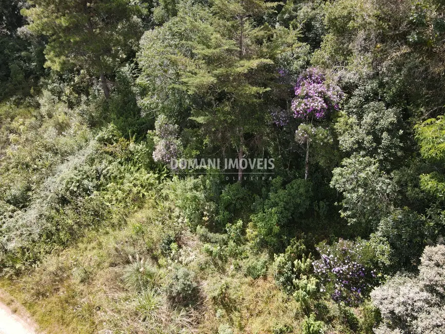 Foto 9 de Terreno / Lote à venda, 1500m2 em Campos Do Jordao - SP