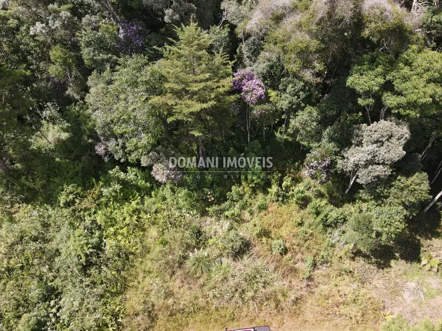 Foto 7 de Terreno / Lote à venda, 1500m2 em Campos Do Jordao - SP