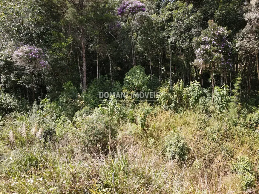 Foto 5 de Terreno / Lote à venda, 1500m2 em Campos Do Jordao - SP
