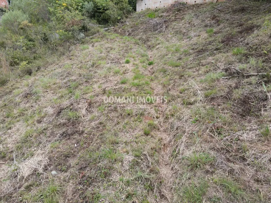 Foto 5 de Terreno / Lote à venda, 330m2 em Campos Do Jordao - SP