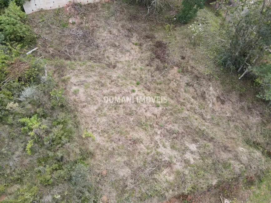 Foto 6 de Terreno / Lote à venda, 330m2 em Campos Do Jordao - SP