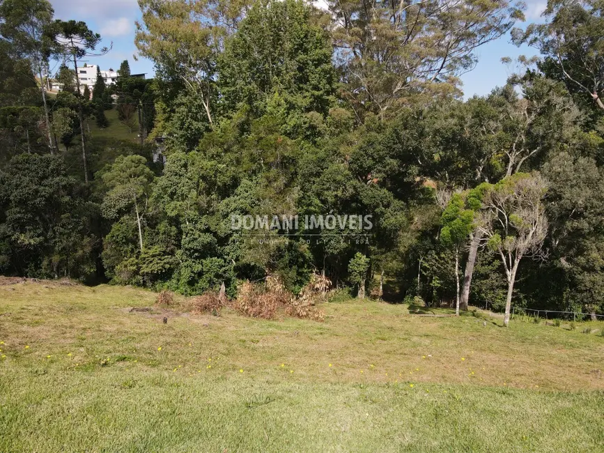 Foto 4 de Terreno / Lote à venda, 1130m2 em Campos Do Jordao - SP