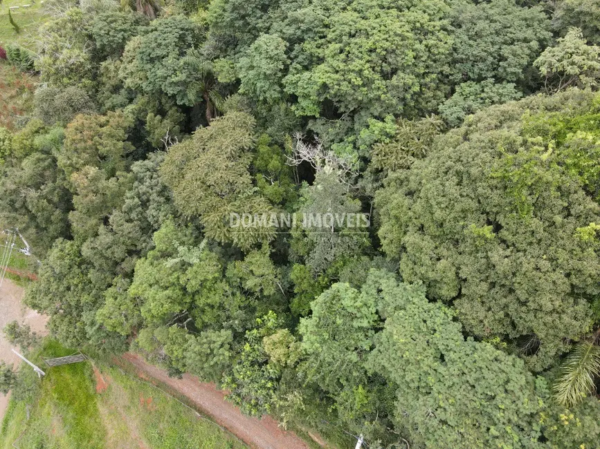 Foto 8 de Terreno / Lote à venda, 1686m2 em Santo Antonio Do Pinhal - SP