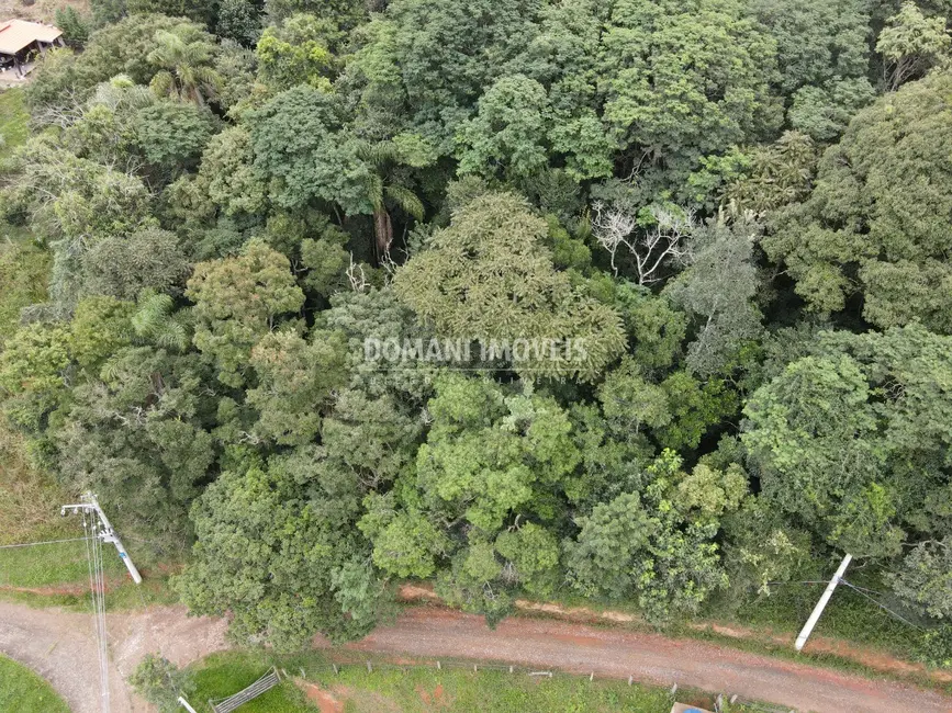 Foto 4 de Terreno / Lote à venda, 1686m2 em Santo Antonio Do Pinhal - SP