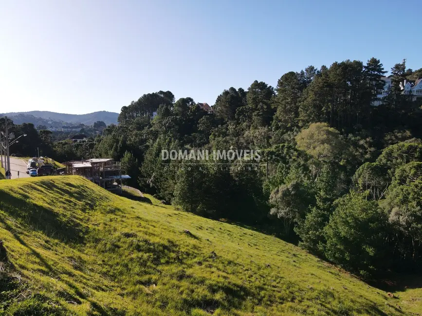 Foto 4 de Terreno / Lote à venda, 1050m2 em Campos Do Jordao - SP