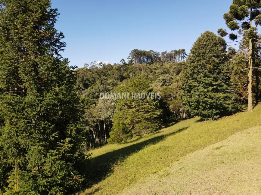 Foto 4 de Terreno / Lote à venda, 1120m2 em Campos Do Jordao - SP