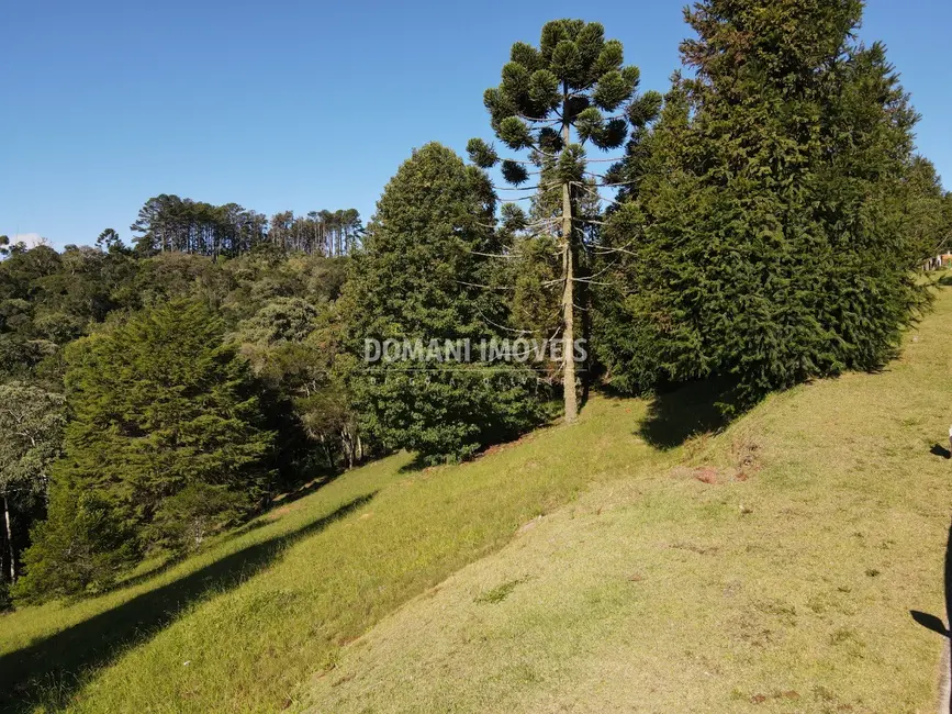 Foto 7 de Terreno / Lote à venda, 1120m2 em Campos Do Jordao - SP