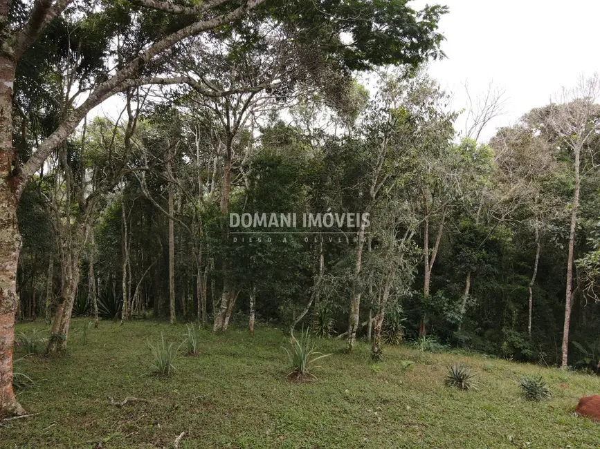 Foto 6 de Terreno / Lote à venda, 4860m2 em Santo Antonio Do Pinhal - SP