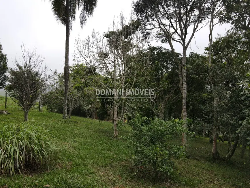 Foto 5 de Terreno / Lote à venda, 4860m2 em Santo Antonio Do Pinhal - SP