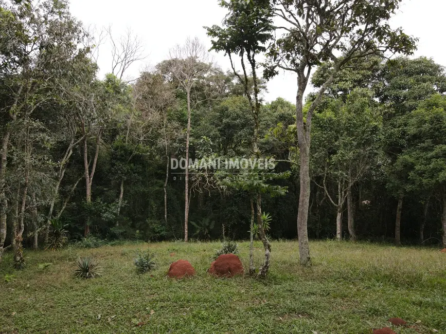 Foto 7 de Terreno / Lote à venda, 4860m2 em Santo Antonio Do Pinhal - SP