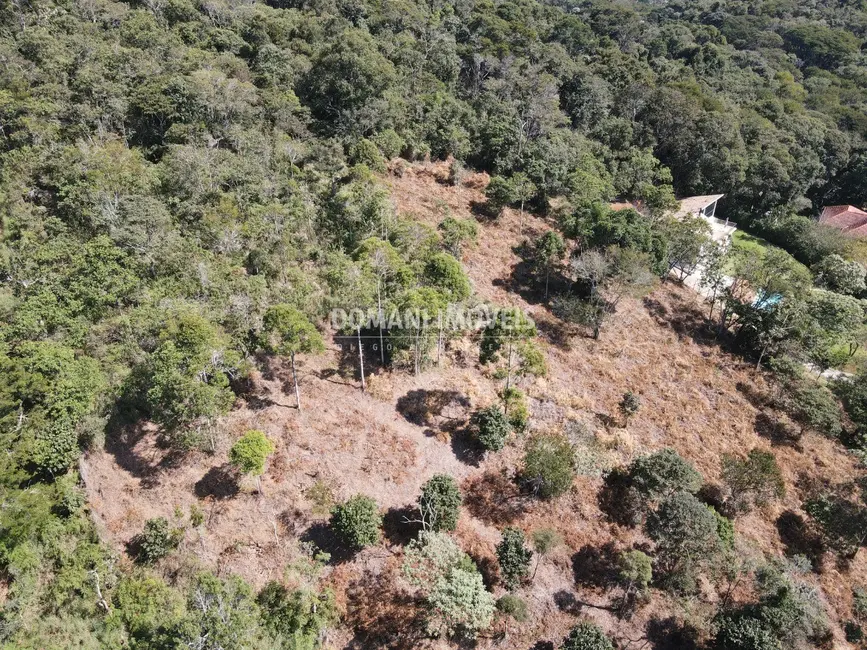 Foto 6 de Terreno / Lote à venda, 5000m2 em Santo Antonio Do Pinhal - SP