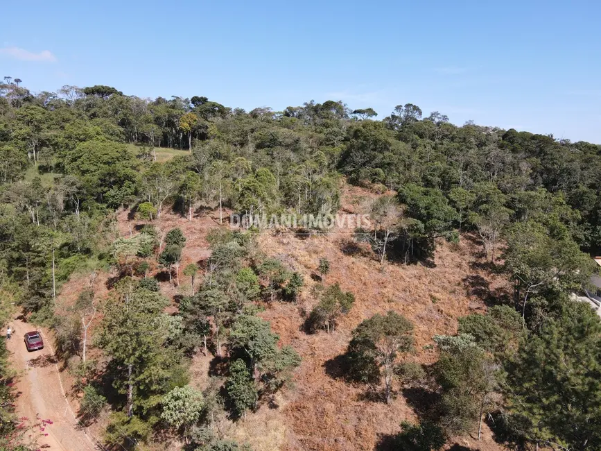 Foto 5 de Terreno / Lote à venda, 5000m2 em Santo Antonio Do Pinhal - SP
