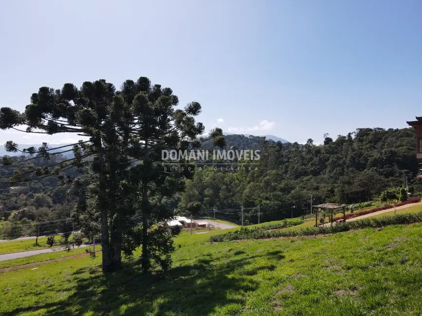 Foto 6 de Terreno / Lote à venda, 1000m2 em Santo Antonio Do Pinhal - SP