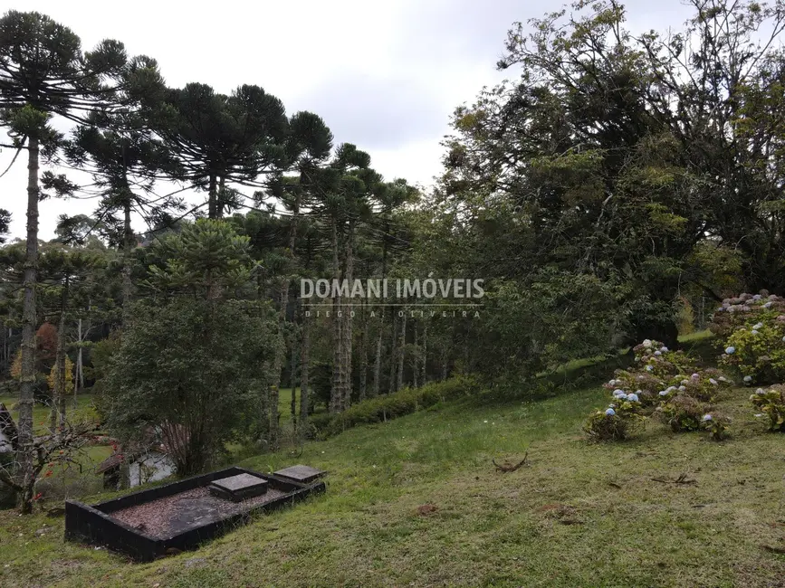 Foto 5 de Terreno / Lote à venda, 1300m2 em Campos Do Jordao - SP