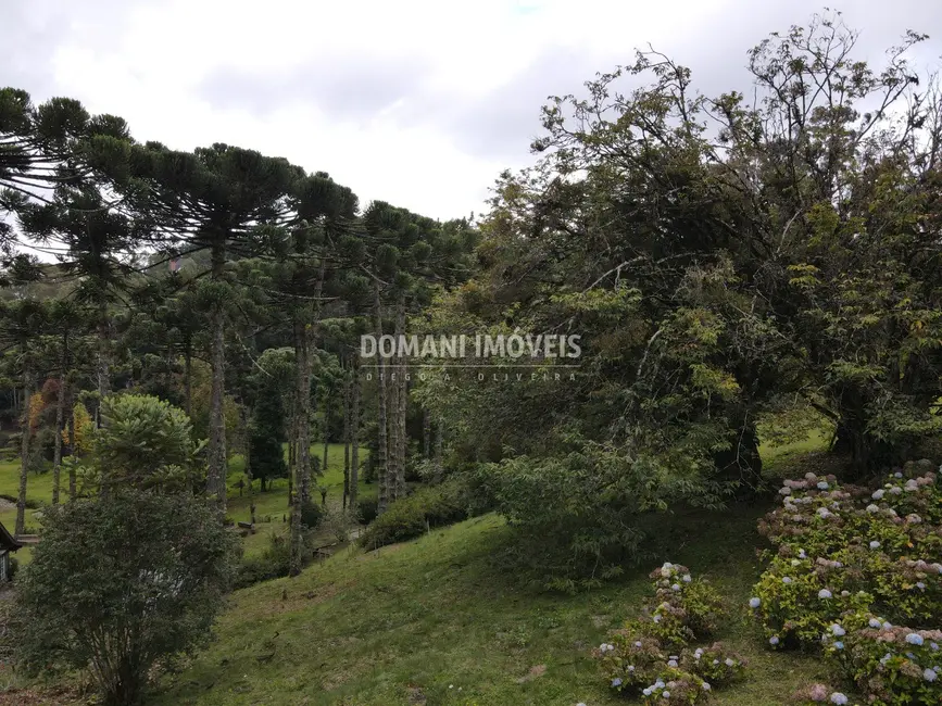 Foto 8 de Terreno / Lote à venda, 1300m2 em Campos Do Jordao - SP