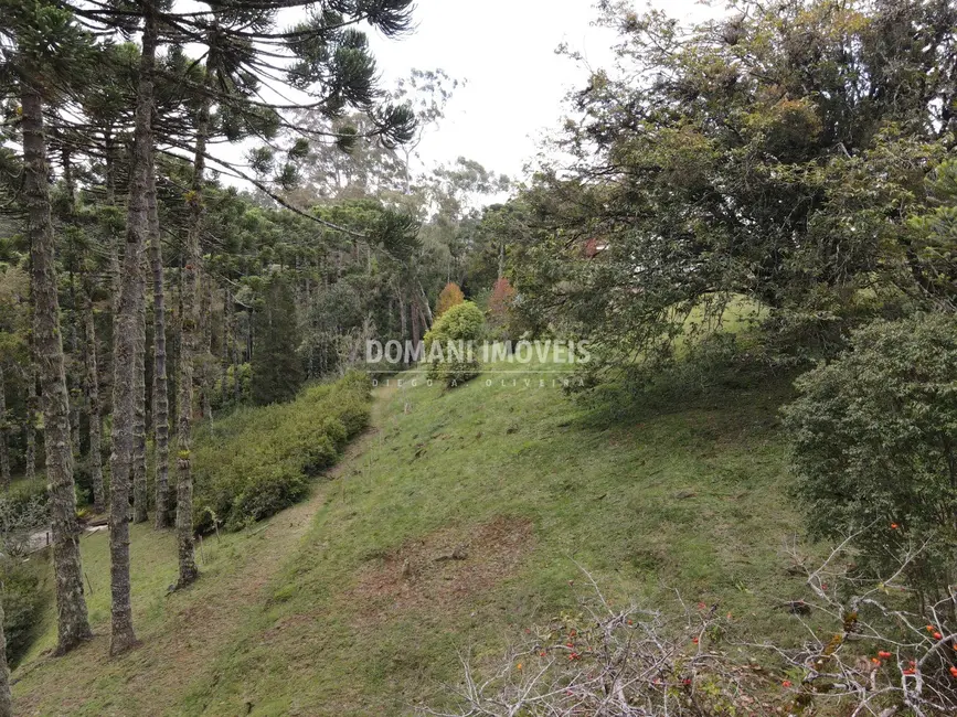 Foto 4 de Terreno / Lote à venda, 1300m2 em Campos Do Jordao - SP