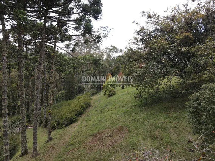 Foto 7 de Terreno / Lote à venda, 1300m2 em Campos Do Jordao - SP
