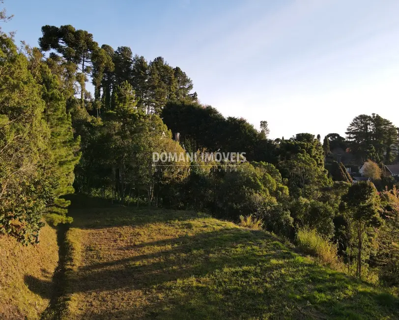 Foto 1 de Terreno / Lote à venda, 4300m2 em Campos Do Jordao - SP