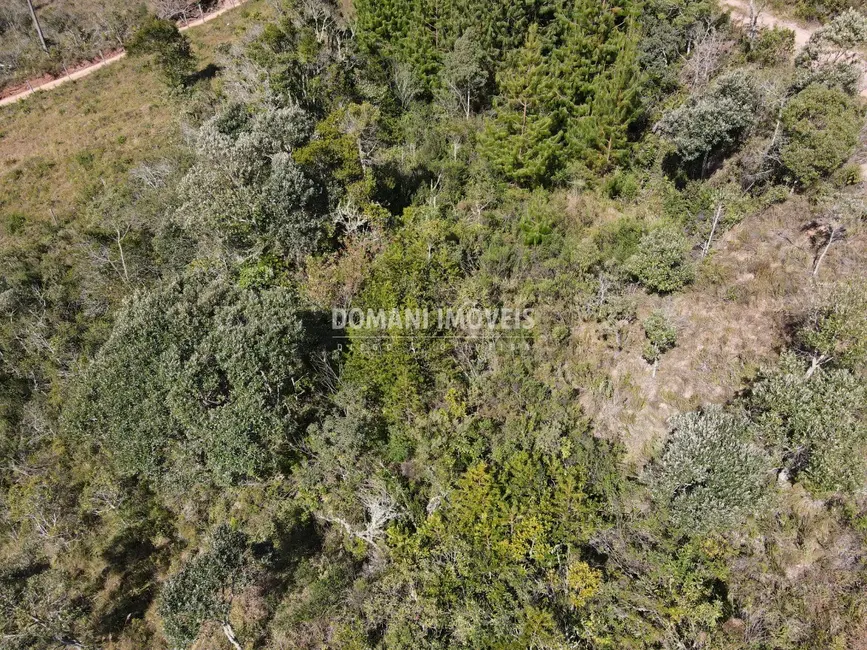 Foto 6 de Terreno / Lote à venda, 1020m2 em Campos Do Jordao - SP