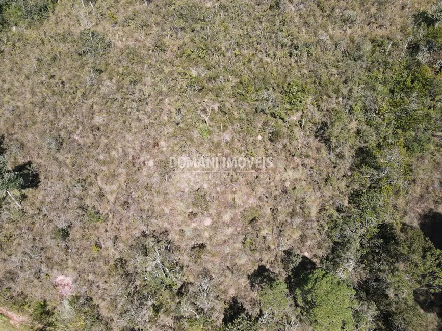 Foto 5 de Terreno / Lote à venda, 1040m2 em Campos Do Jordao - SP