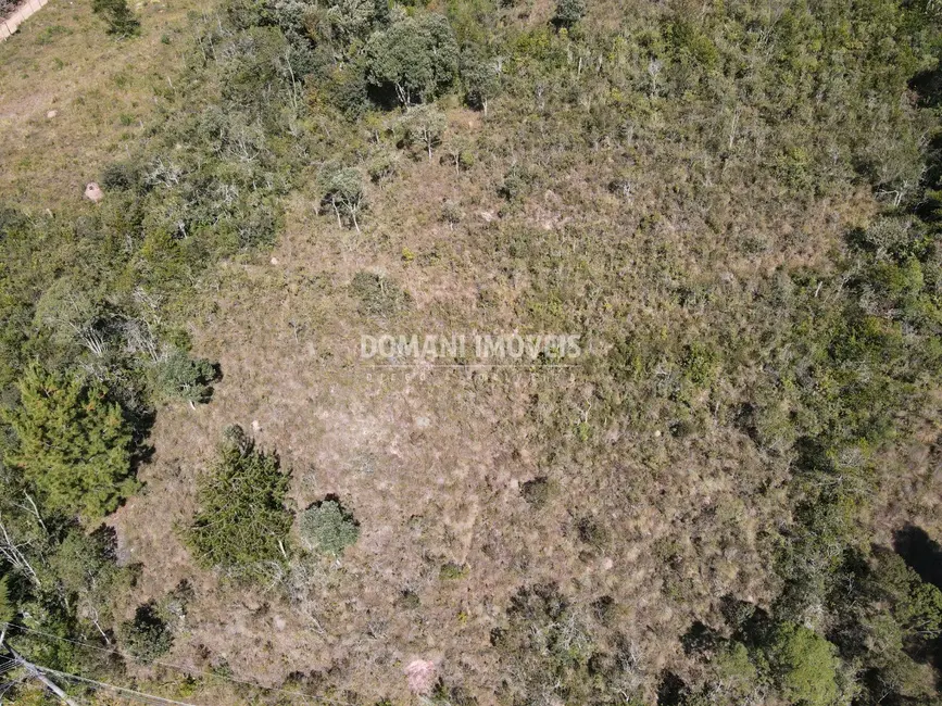 Foto 6 de Terreno / Lote à venda, 1040m2 em Campos Do Jordao - SP