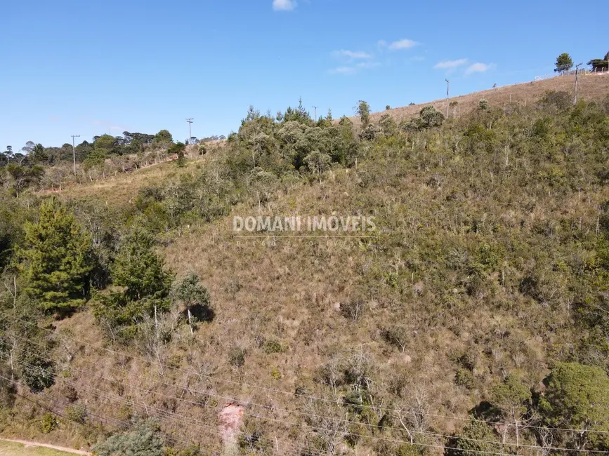 Foto 7 de Terreno / Lote à venda, 1040m2 em Campos Do Jordao - SP