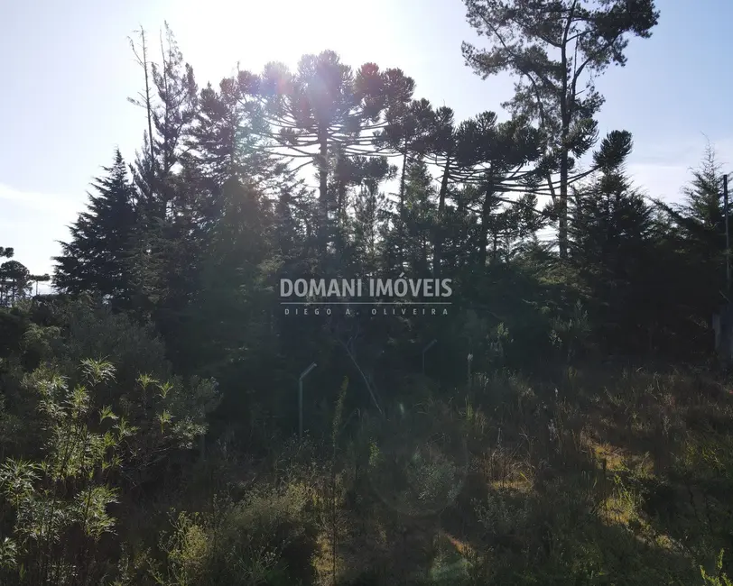 Foto 5 de Terreno / Lote à venda, 1450m2 em Campos Do Jordao - SP