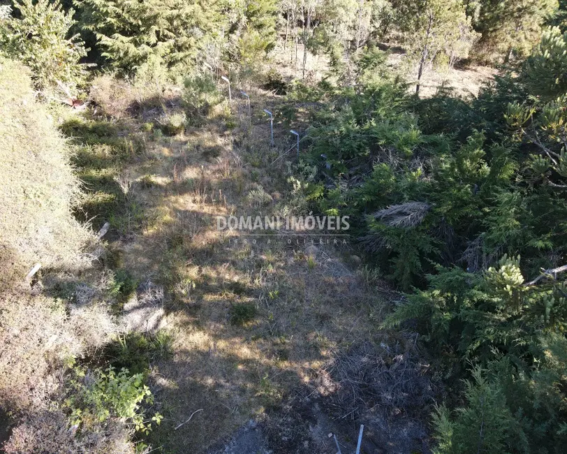 Foto 4 de Terreno / Lote à venda, 1450m2 em Campos Do Jordao - SP