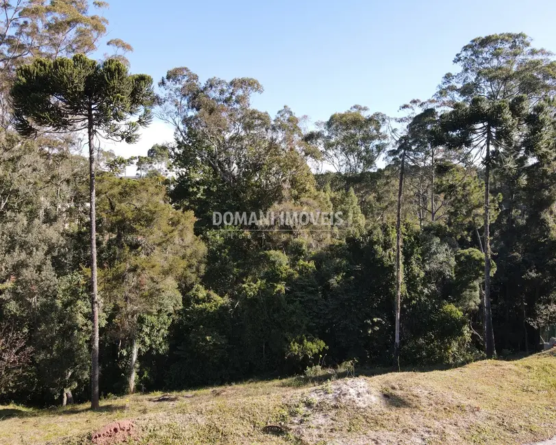 Terreno / Lote à venda, 1040m2 em Campos Do Jordao - SP - imagem 4 Foto 4 de Terreno / Lote à venda, 1040m2 em Campos Do Jordao - SP