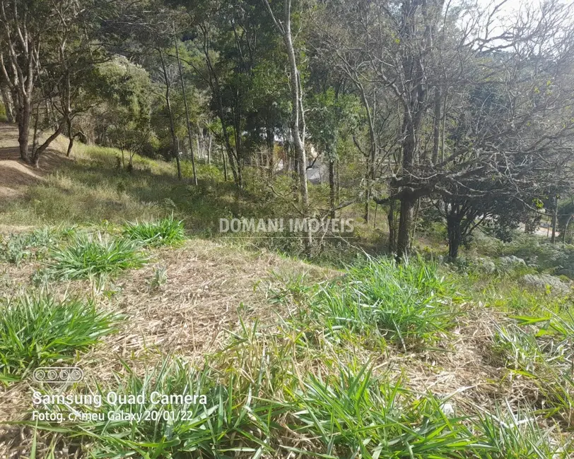 Foto 5 de Terreno / Lote à venda, 7300m2 em Santo Antonio Do Pinhal - SP