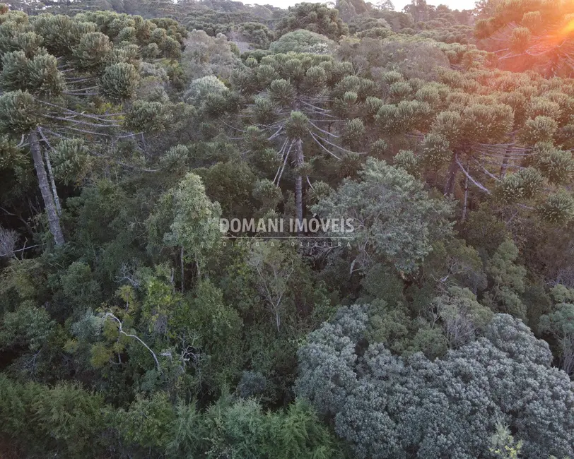 Foto 1 de Terreno / Lote à venda, 1780m2 em Campos Do Jordao - SP