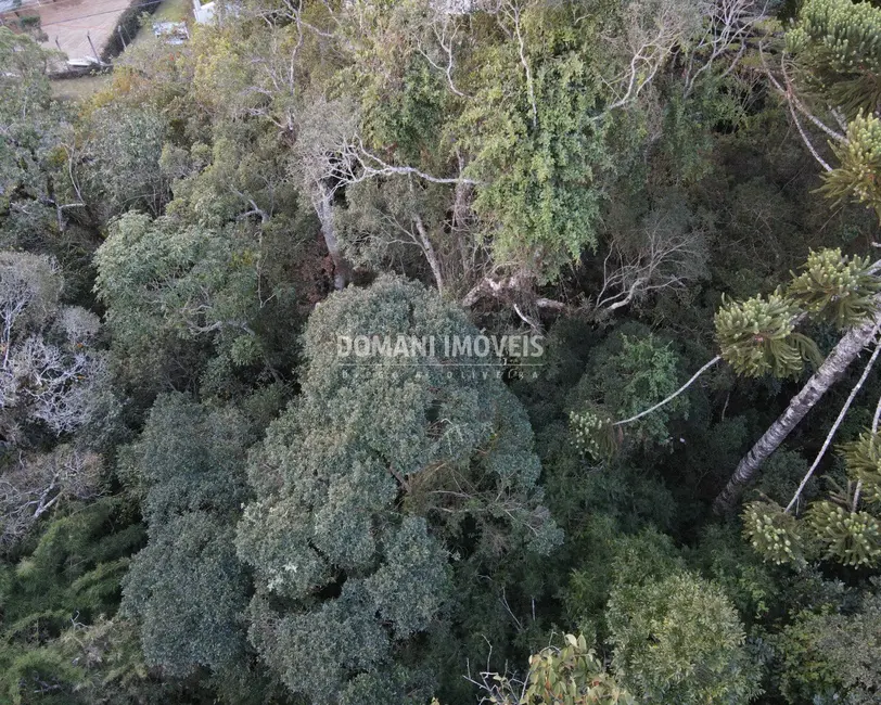 Terreno / Lote à venda, 1780m2 em Campos Do Jordao - SP - imagem 7 Foto 7 de Terreno / Lote à venda, 1780m2 em Campos Do Jordao - SP