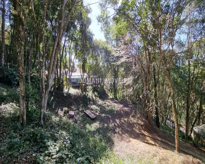 Foto 4 de Terreno / Lote à venda, 2010m2 em Santo Antonio Do Pinhal - SP