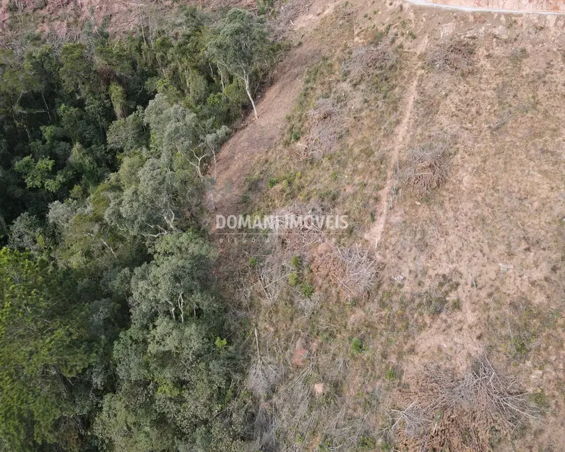 Foto 2 de Terreno / Lote à venda, 1650m2 em Campos Do Jordao - SP